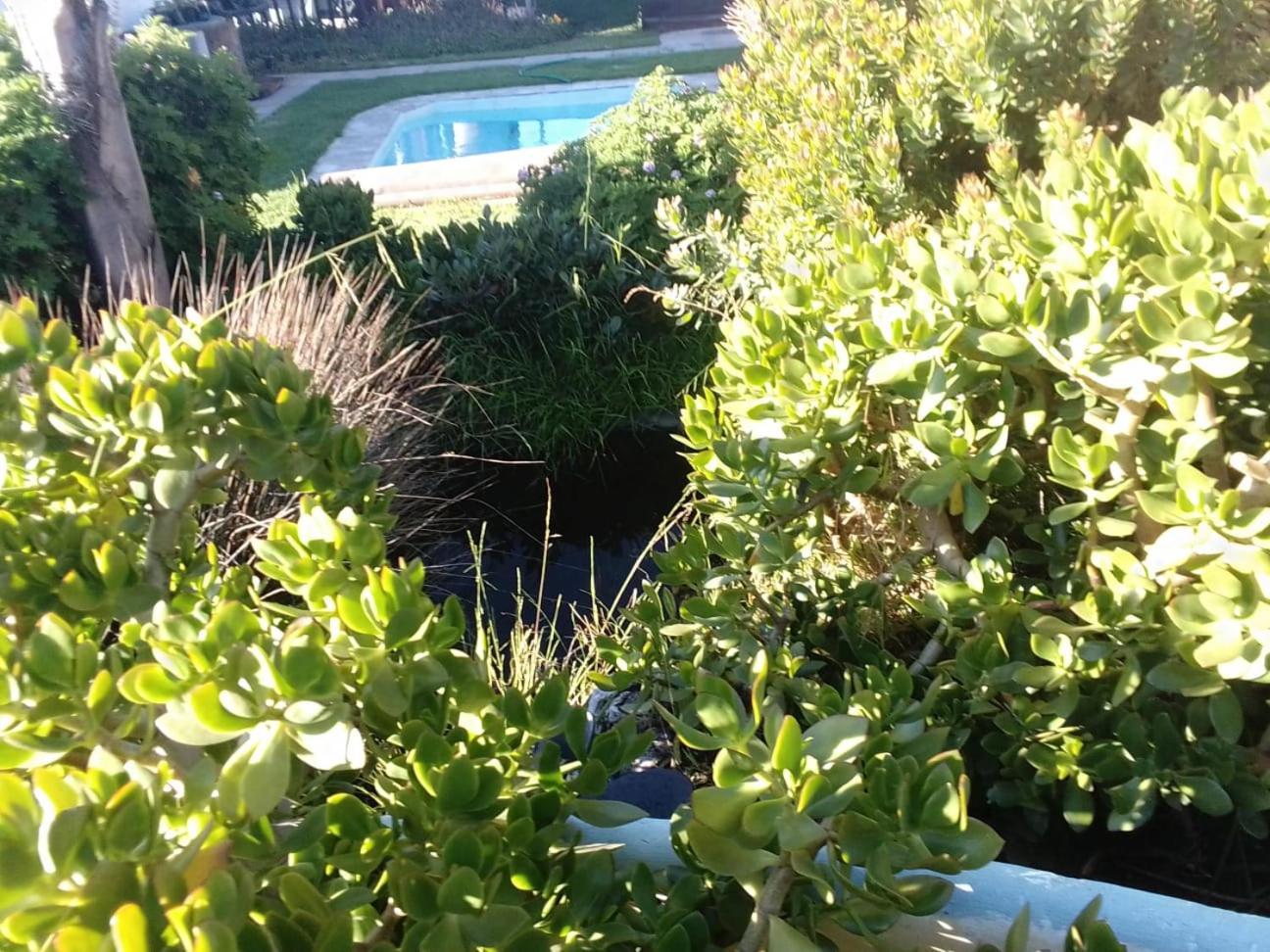Coco De Mer Self Catering Log 1 Lambertʼs Bay Exterior foto